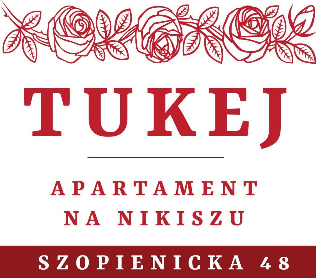 Tukej Apartament Na Nikiszu Катовице Экстерьер фото